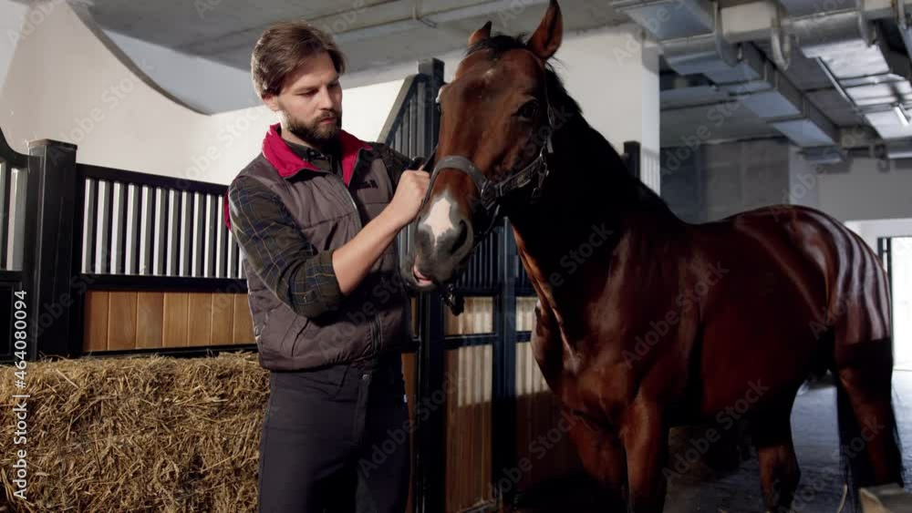 Full length view of the equestrian standing with her horse in a stable ...