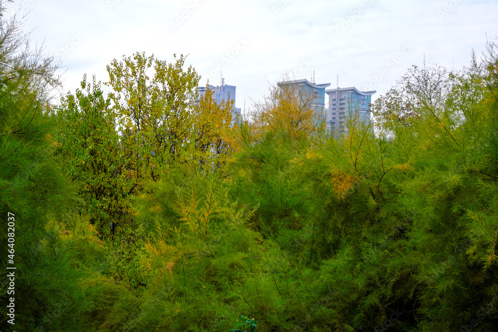 Fototapeta premium Autumn panoramic landscape