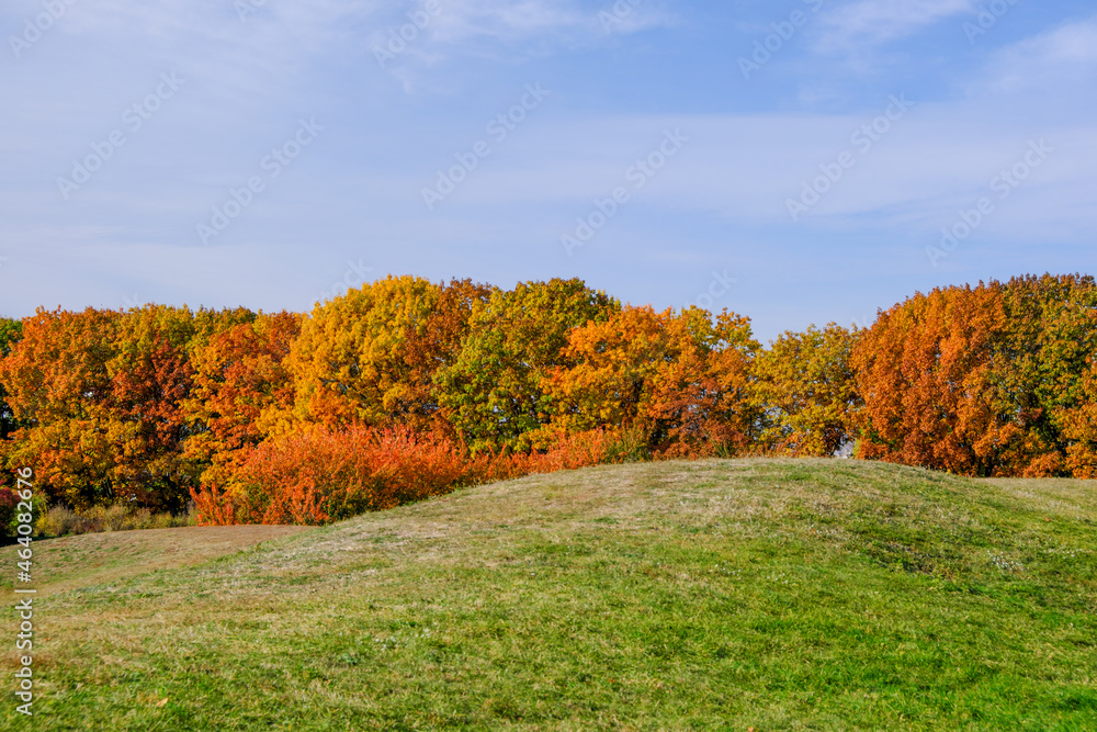 Natural picture of the colors of autumn