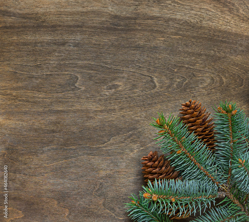 Christmas fir branch on wooden background with cones