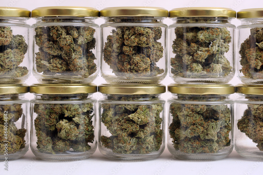 Cannabis drying and curing. Marijuana buds in glass jars. Eco container.  Hemp growing concept. Stock Photo | Adobe Stock