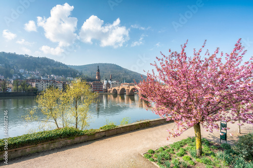 Heidelberg in spring with view of the Old Bridge and Neckar River photo