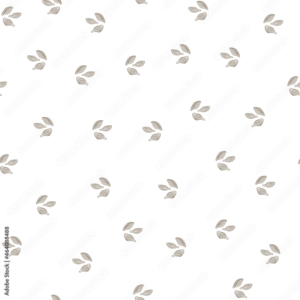 Seamless pattern cardamom on white background. Cute plant sketch ornament. Random texture template for fabric. Seamless pattern cardamom on white background. Cute plant sketch ornament. Random texture template for fabric.