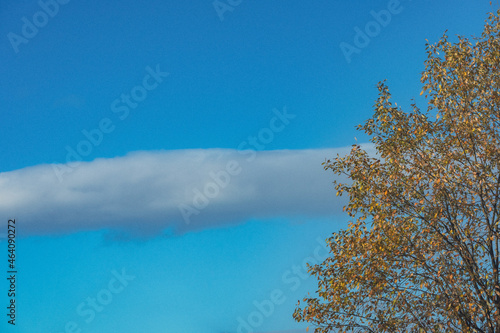 Fototapeta Naklejka Na Ścianę i Meble -  autumn sky