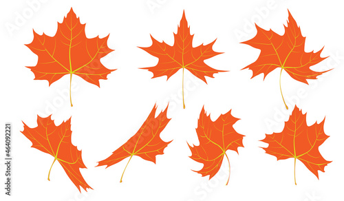 Vector illustration. Autumn leaves on rainy glass texture. concept of fall season. autumn background. orange maple leaves in rain. rainy day weather