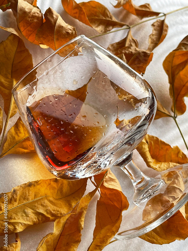 a glass of cognac autumn amber