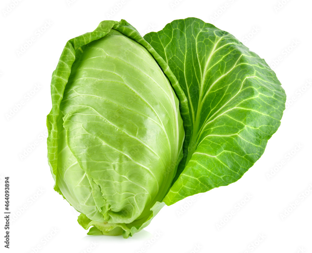 fresh green pointed cabbage isolated on white background fresh green pointed cabbage isolated on white background