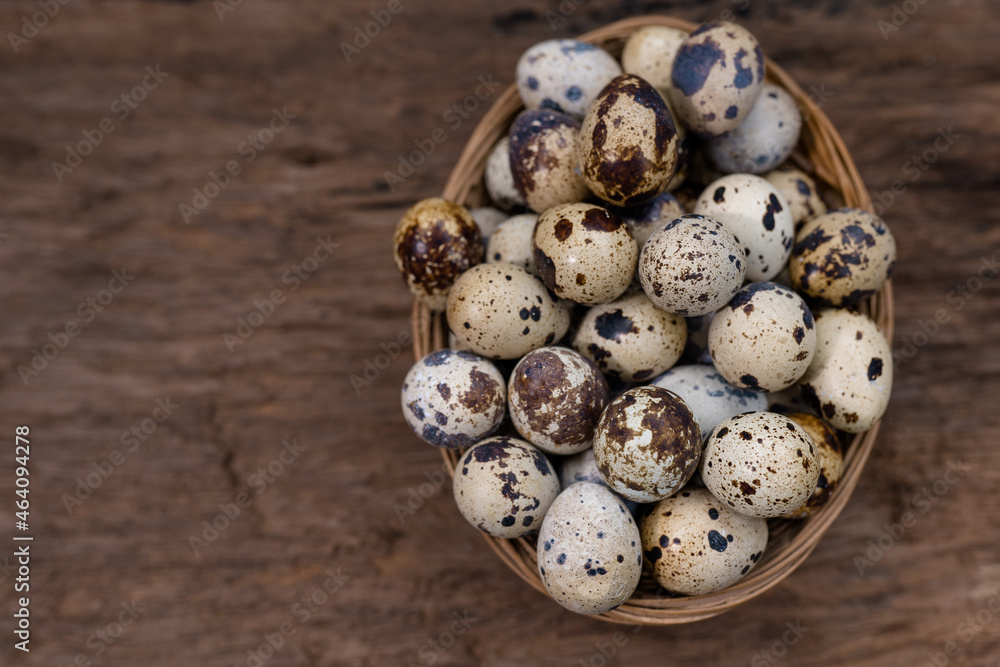 quail eggs quail eggs