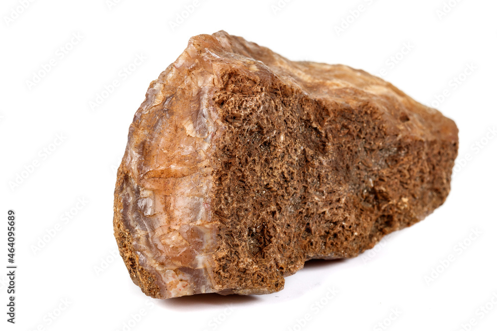 Macro mineral stone Agate Brown on white background Macro mineral stone Agate Brown on white background
