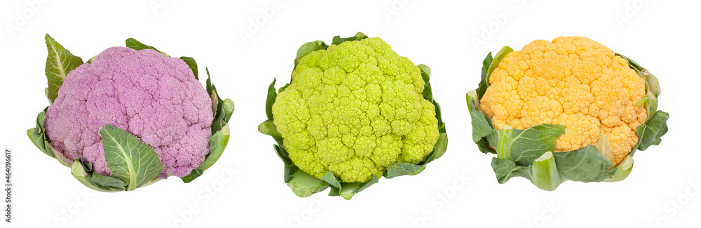 colorful cauliflower path isolated on white colorful cauliflower path isolated on white
