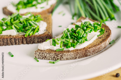 rye bread sandwiches with fresh cheeses and green onions