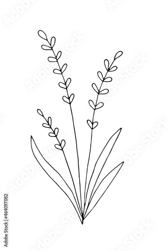 Silhouette of grass. Botanical element for decoration. Circuit. Doodle. Vector. Drawn by hand. Sketch. Silhouette. Black and white. Contour. Coloring.