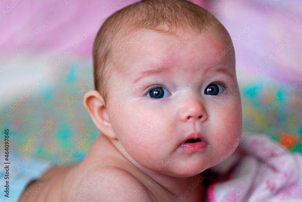 portrait of a baby portrait of a baby