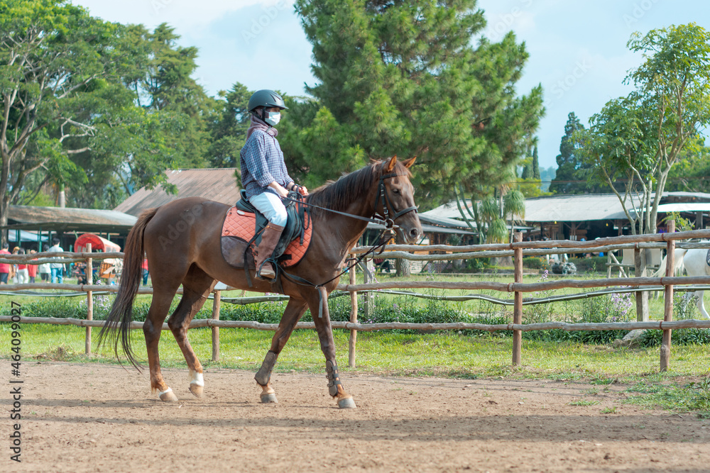 Women with mask and hijab learns to ride a horse. girls riding horses at the ranch. equestrian sport during the pandemic Women with mask and hijab learns to ride a horse. girls riding horses at the ranch. equestrian sport during the pandemic