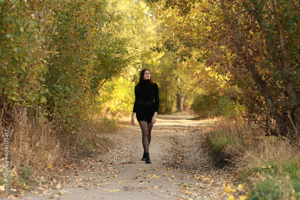 Fototapeta premium Long haired brunette in the forest