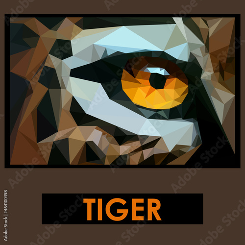 tiger