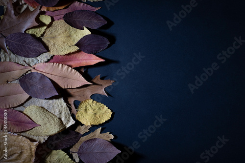 multicolored dry autumn leaves on black background