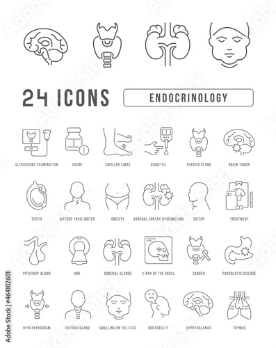 Endocrinology. Collection of perfectly thin icons for web design, app, and the most modern projects. The kit of signs for category Medicine.