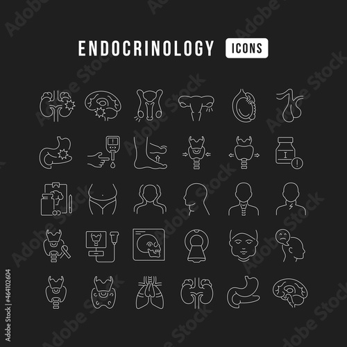 Endocrinology. Collection of perfectly thin icons for web design, app, and the most modern projects. The kit of signs for category Medicine.