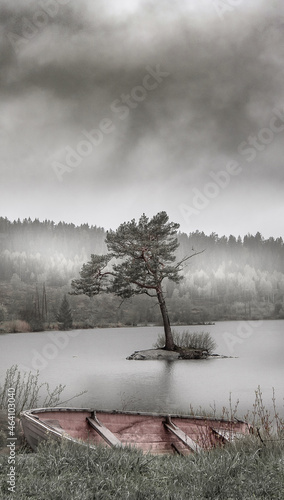Ytre Enebakk, samotne drzewo i łódka photo