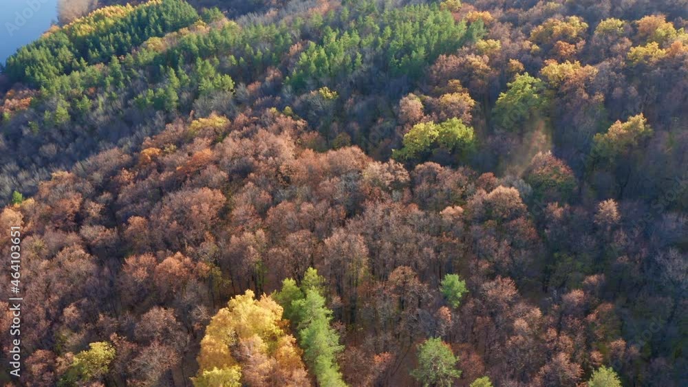 The concept of wildlife, forest lands. The trees are covered with yellow, red, orange and green foliage. The onset of the cold season in the suburban area. High quality. 4k footage. The concept of wildlife, forest lands. The trees are covered with yellow, red, orange and green foliage. The onset of the cold season in the suburban area. High quality. 4k footage.