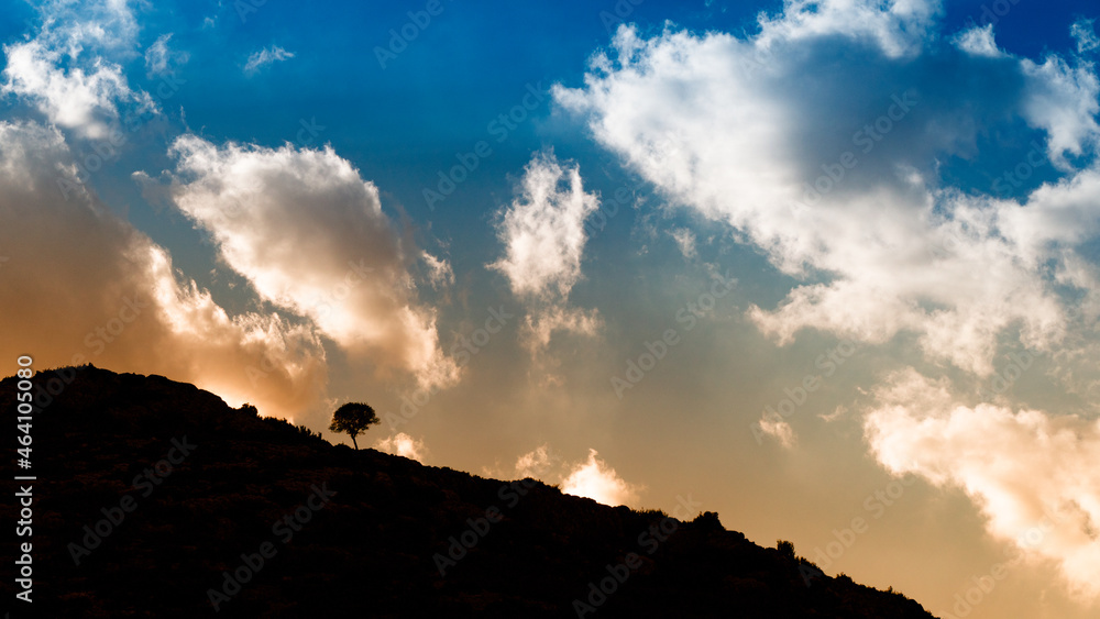 Fototapeta premium silhouette lonely tree on hillside at sunset. Taurus Mountains in Turkey