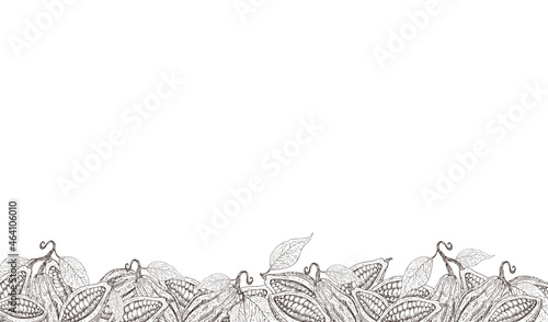 Cocoa background. Organic healthy food backdrop. Cocoa beans border. Hand drawn cacao branch with fruits. Great for banner, poster, label. Cocoa leaves, seeds, cocoa collection. Superfood cacao.

