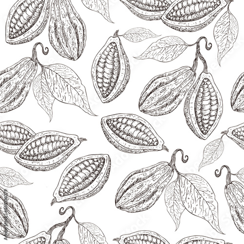 Cocoa pattern. Organic healthy food background. Cocoa beans print. Hand drawn cacao branch with fruits. Great for textie  fabric  banner. Cocoa beans  leaves  seeds  cocoa texture. Superfood cacao. 