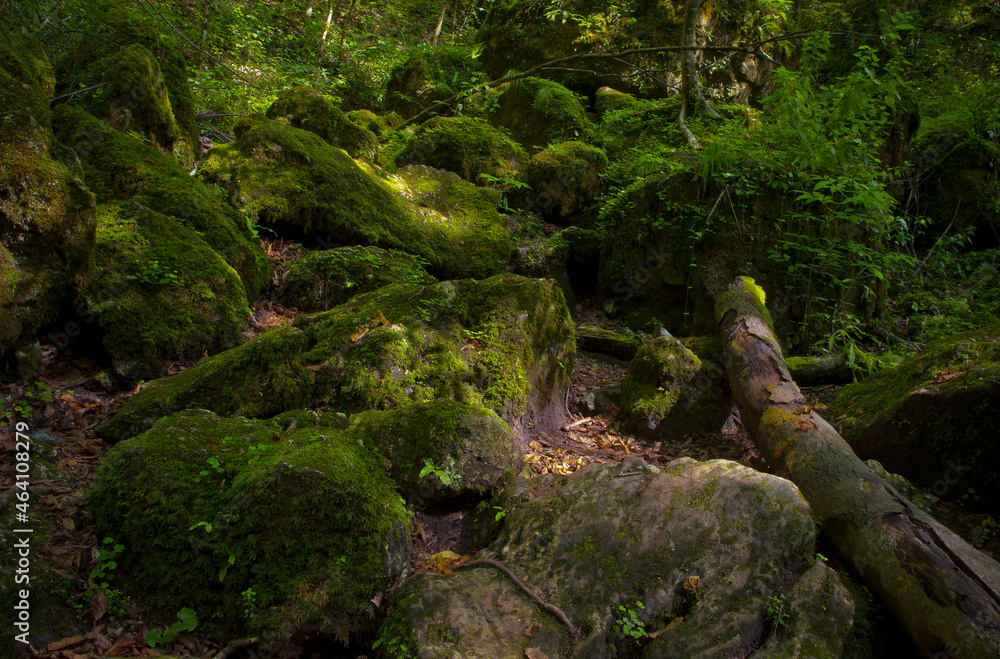 A journey through the mountains of Adygea A journey through the mountains of Adygea