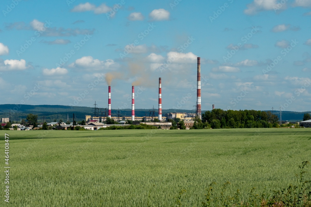 Nazarovskaya GRES with smoking chimneys in summer, seen behind a wheat field, is located in the city of Nazarovo, Krasnoyarsk Territory, Russia.