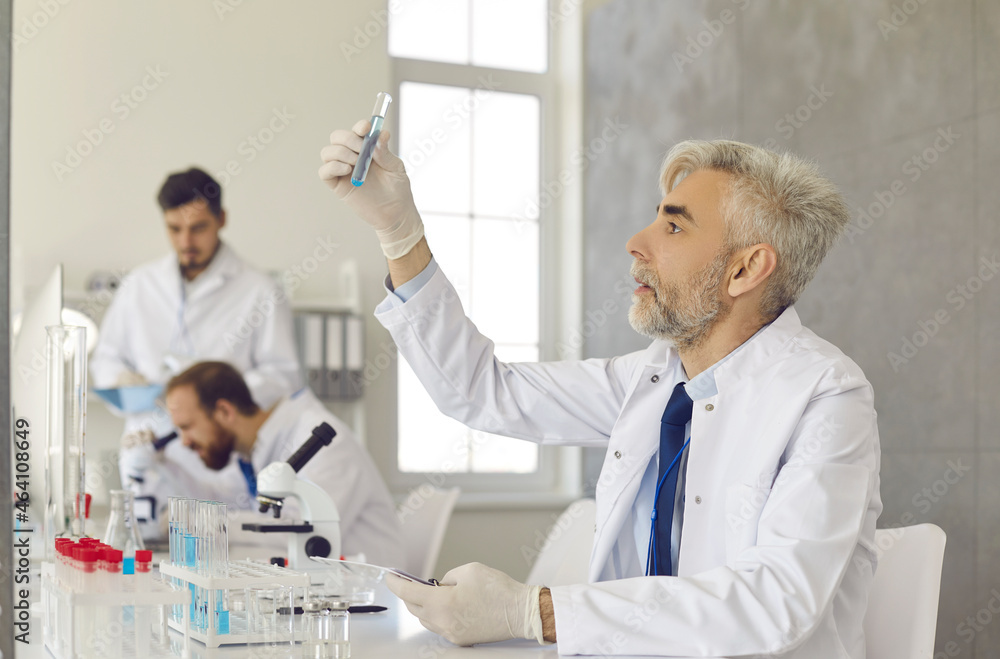 Serious researcher in white coat and gloves working in medical laboratory. Portrait of experienced senior white-haired scientist sitting at lab table and looking at glass tube he's holding in hand Serious researcher in white coat and gloves working in medical laboratory. Portrait of experienced senior white-haired scientist sitting at lab table and looking at glass tube he's holding in hand