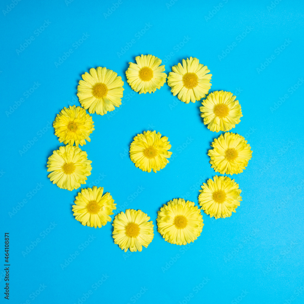 Yellow circle made of flowers. Blue background. Cool and trendy photo. Yellow circle made of flowers. Blue background. Cool and trendy photo.