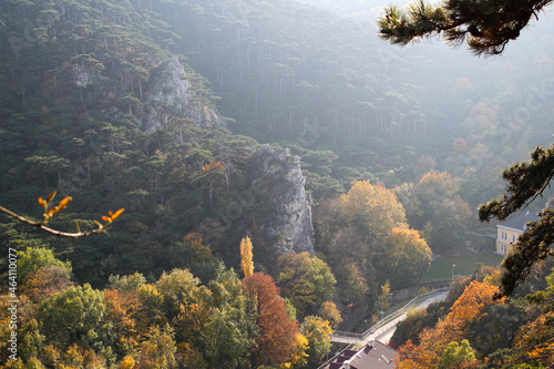 Beautiful autumn landscape with famous rock climing mountain in Moedling  Lower Austria  Austria.