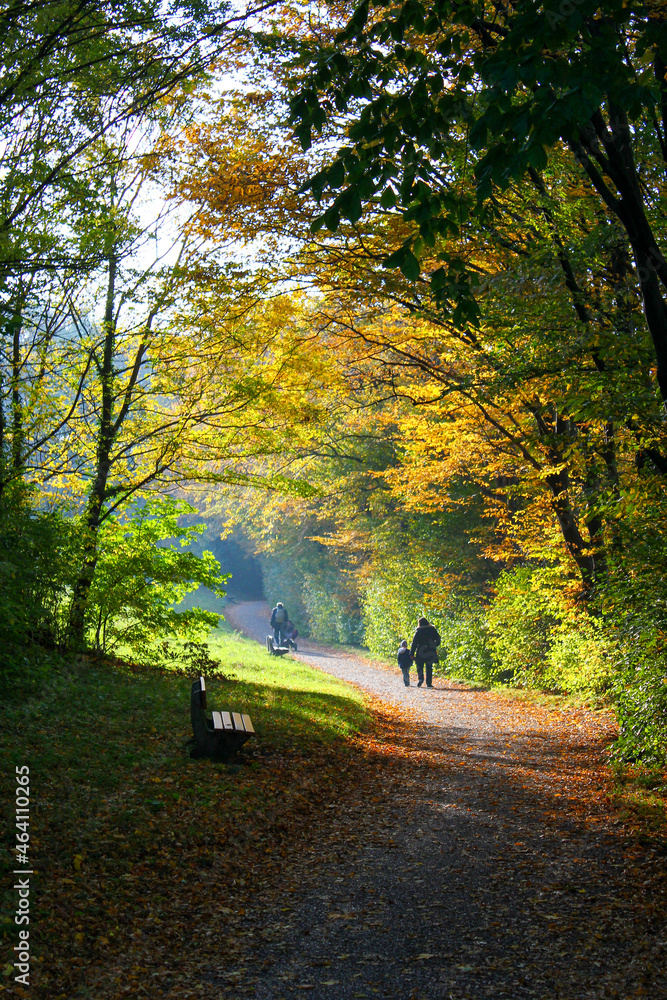 Wonderful idyllic autumn scenery: People walking in an park in the sun next to the forest. 