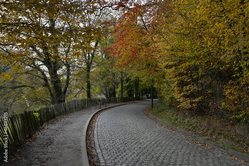 Route pavée avec trottoir sous la végétation en automne de la forêt de Soignes au site de l'abbaye du Rouge-Cloître à Auderghem
