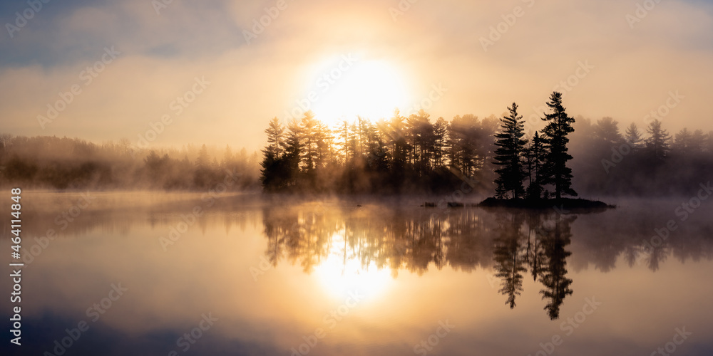 Island and forest on a misty lake in morning sunshine
