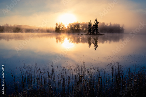 Island and forest with bulrush on a misty lake in morning sunshine