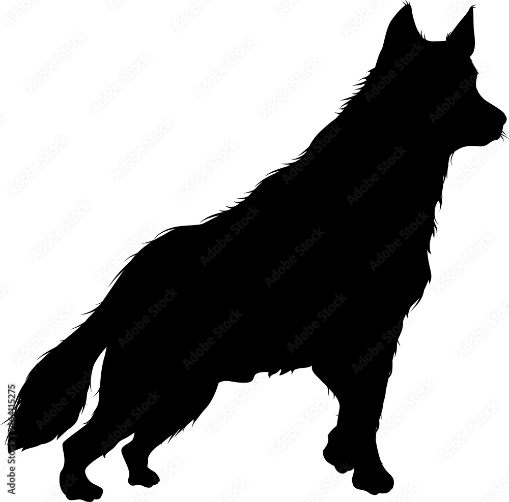 Vector silhouette of a husky dog standing