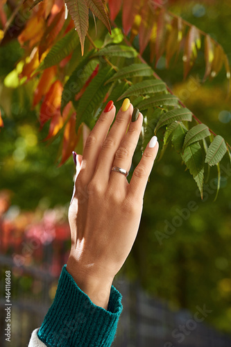 Hands of a beautiful woman on autumn leaves background. Delicate hands with colorful manicure touching leaves. Multicolored nails in fall colors.