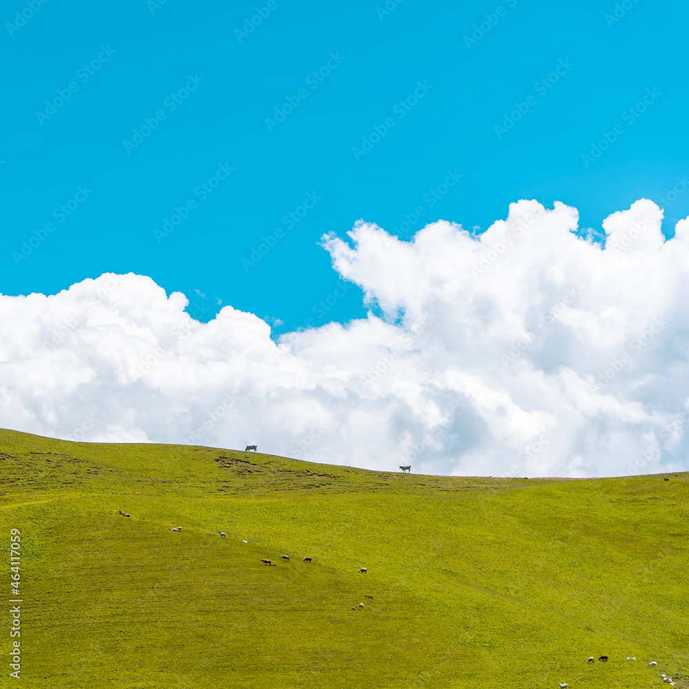 Green hill and white fluffy clouds over it. Cows grazing on the top Green hill and white fluffy clouds over it. Cows grazing on the top