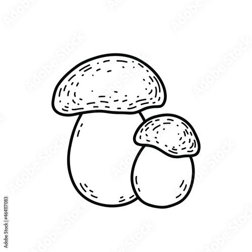 Vector illustration with edible mushrooms. Forest King bolete.