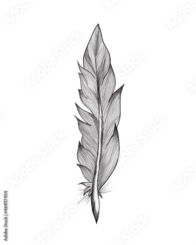 black and white ink sketch illustration. Ethnic boho style hand drawing. Real...