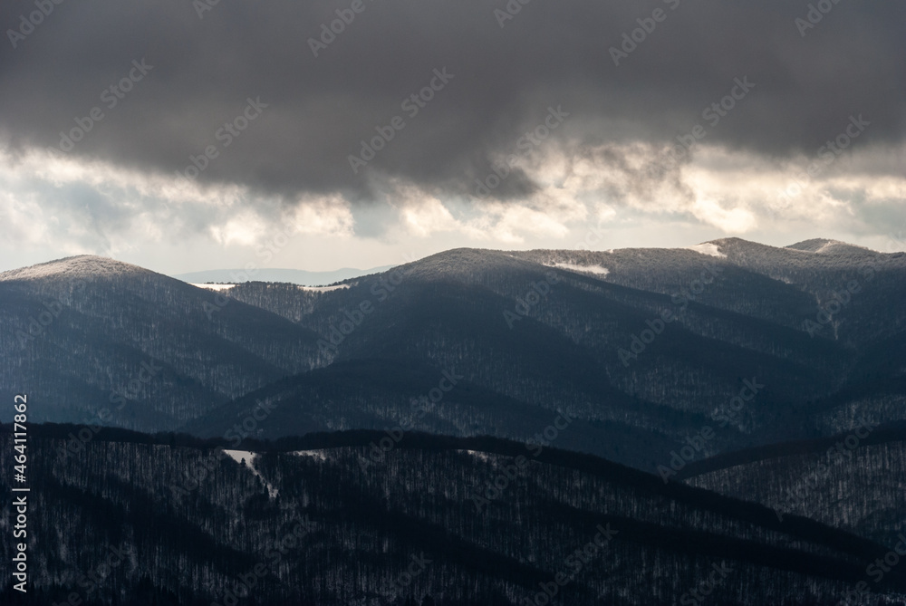 Snow-covered forest in the mountains, Bieszczady Mountains, Poland