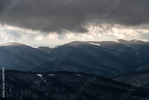 Snow-covered forest in the mountains, Bieszczady Mountains, Poland
