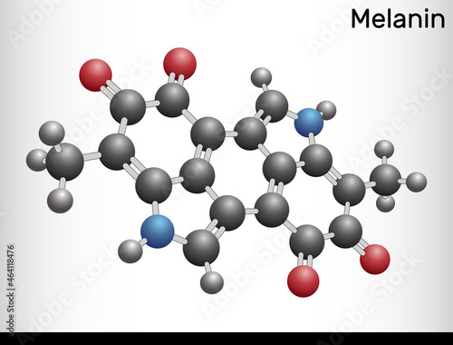 Melanin  molecule. Polymers of tyrosine derivatives found in and causing darkness in skin (skin pigmentation) and hair. Ball and stick model