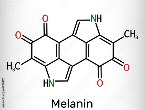 Melanin  molecule. Polymers of tyrosine derivatives found in and causing darkness in skin (skin pigmentation) and hair. Structural chemical formula photo