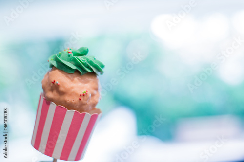 Giant Sweet Cupcake Cake Pop with Green Frosting and pink chocolate and multi colored Sprinkles