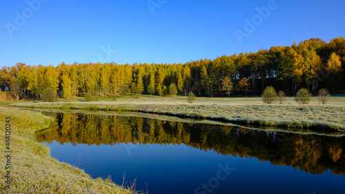 autumn in the park