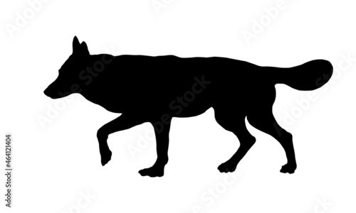 Black dog silhouette. Running czechoslovak wolfdog puppy. Pet animals. Isolated on a white background.