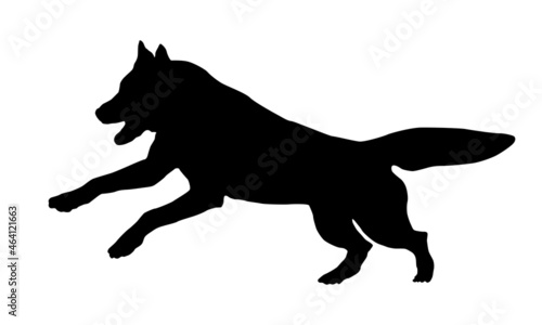 Running and jumping siberian husky puppy. Black dog silhouette. Pet animals. Isolated on a white background. © tikhomirovsergey